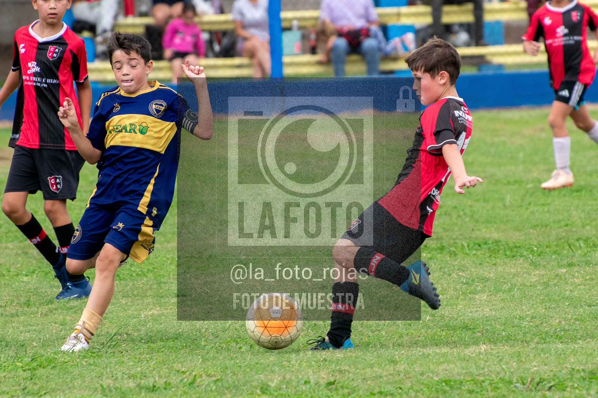 Fotografía 14-3-26-BOC-NEW-2016-45 de 2026-03-14 Boca Newbery 2016