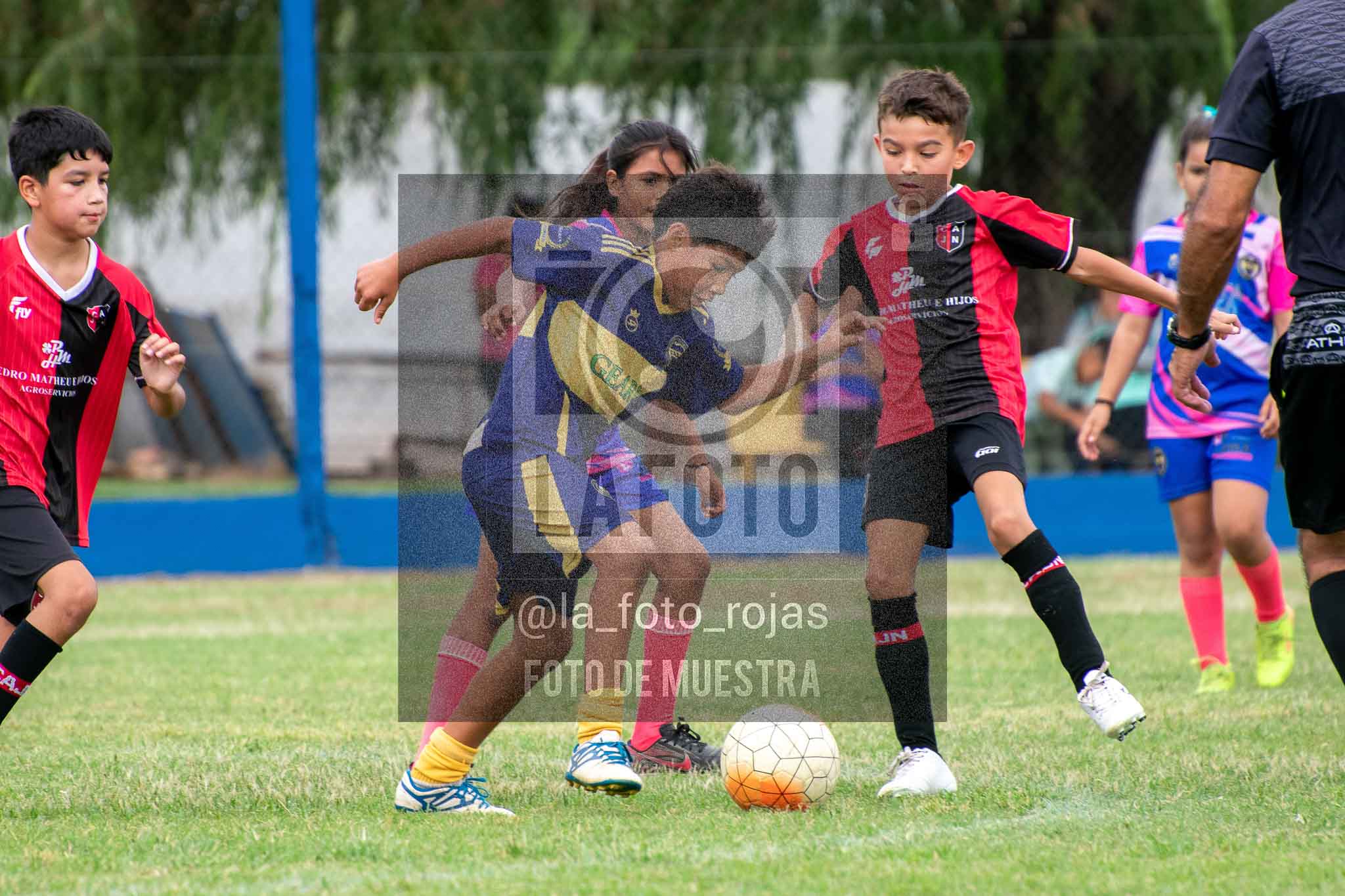 Fotografía 14-3-26-BOC-NEW-2016-48 de 2026-03-14 Boca Newbery 2016