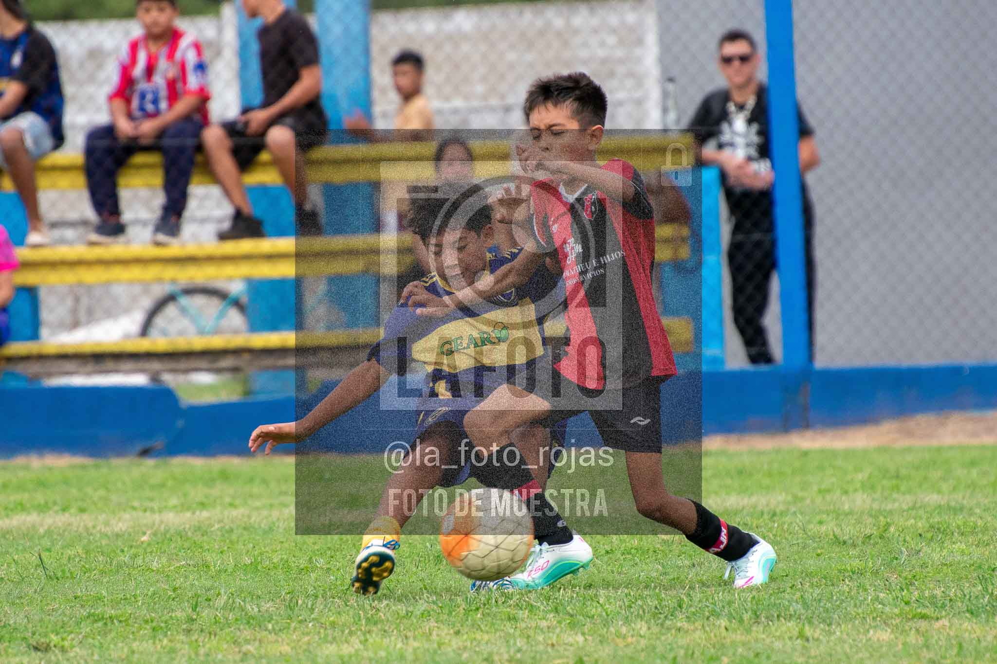 Fotografía 14-3-26-BOC-NEW-2016-49 de 2026-03-14 Boca Newbery 2016