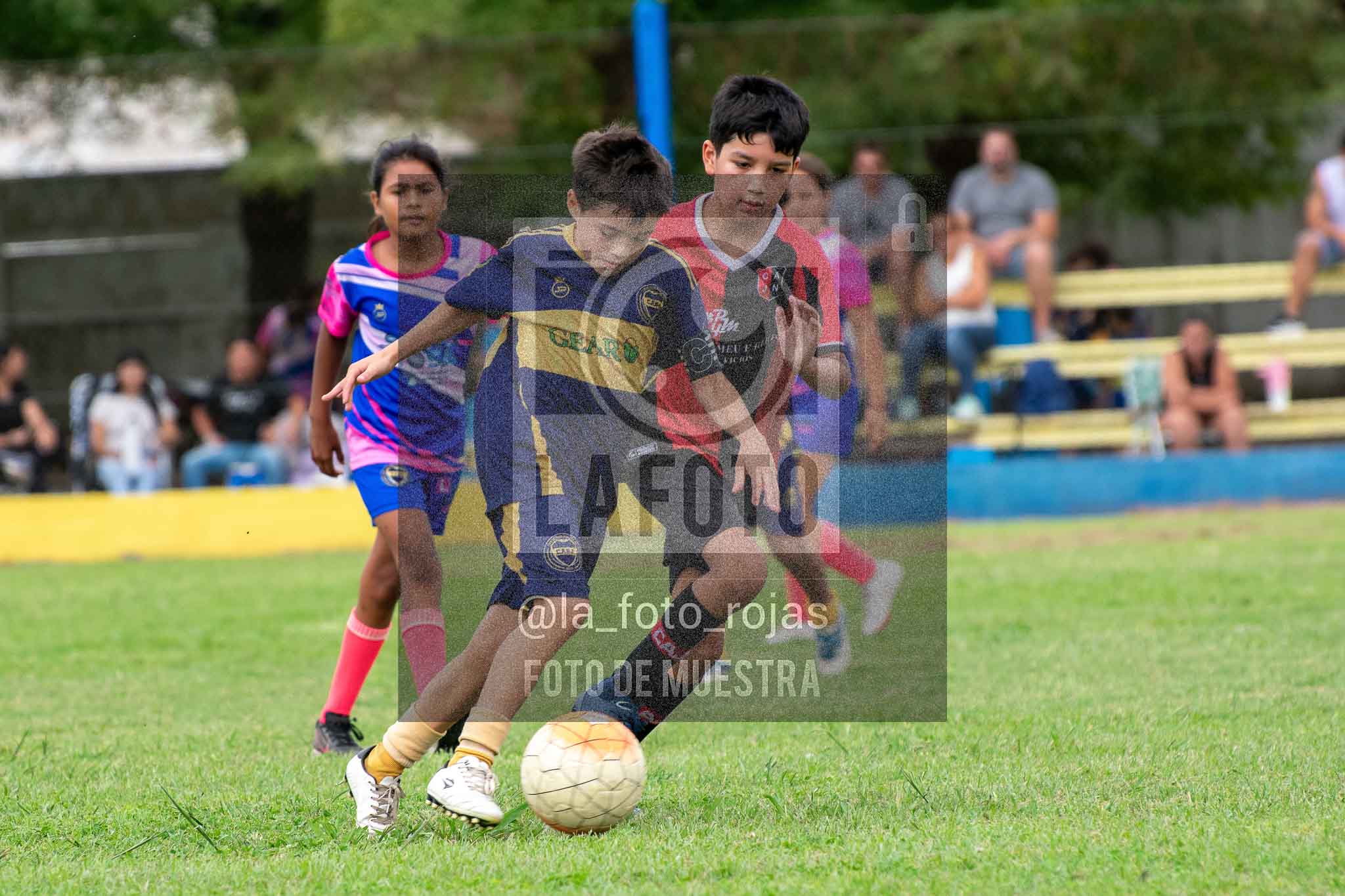 Fotografía 14-3-26-BOC-NEW-2016-50 de 2026-03-14 Boca Newbery 2016