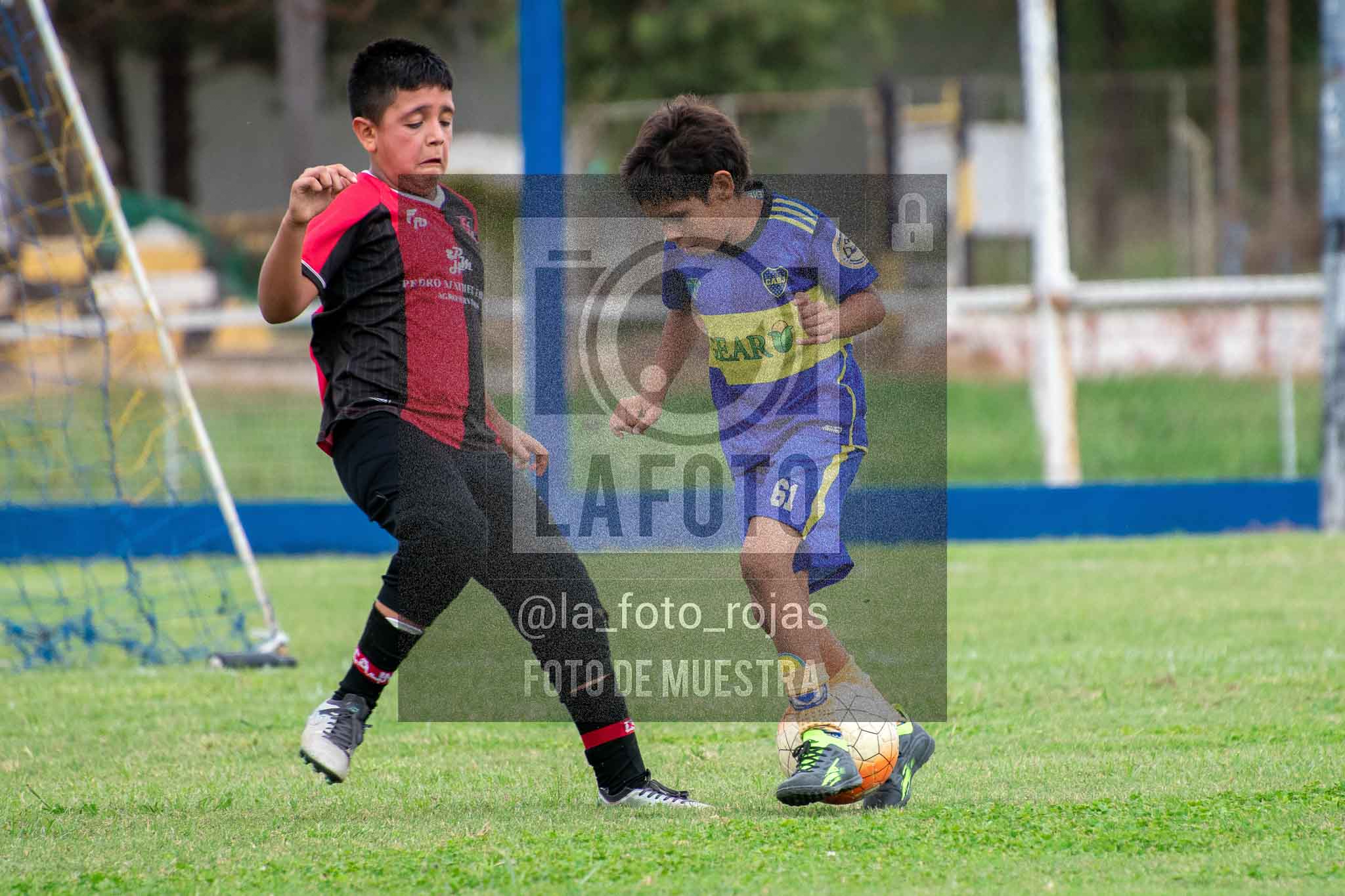 Fotografía 14-3-26-BOC-NEW-2016-51 de 2026-03-14 Boca Newbery 2016