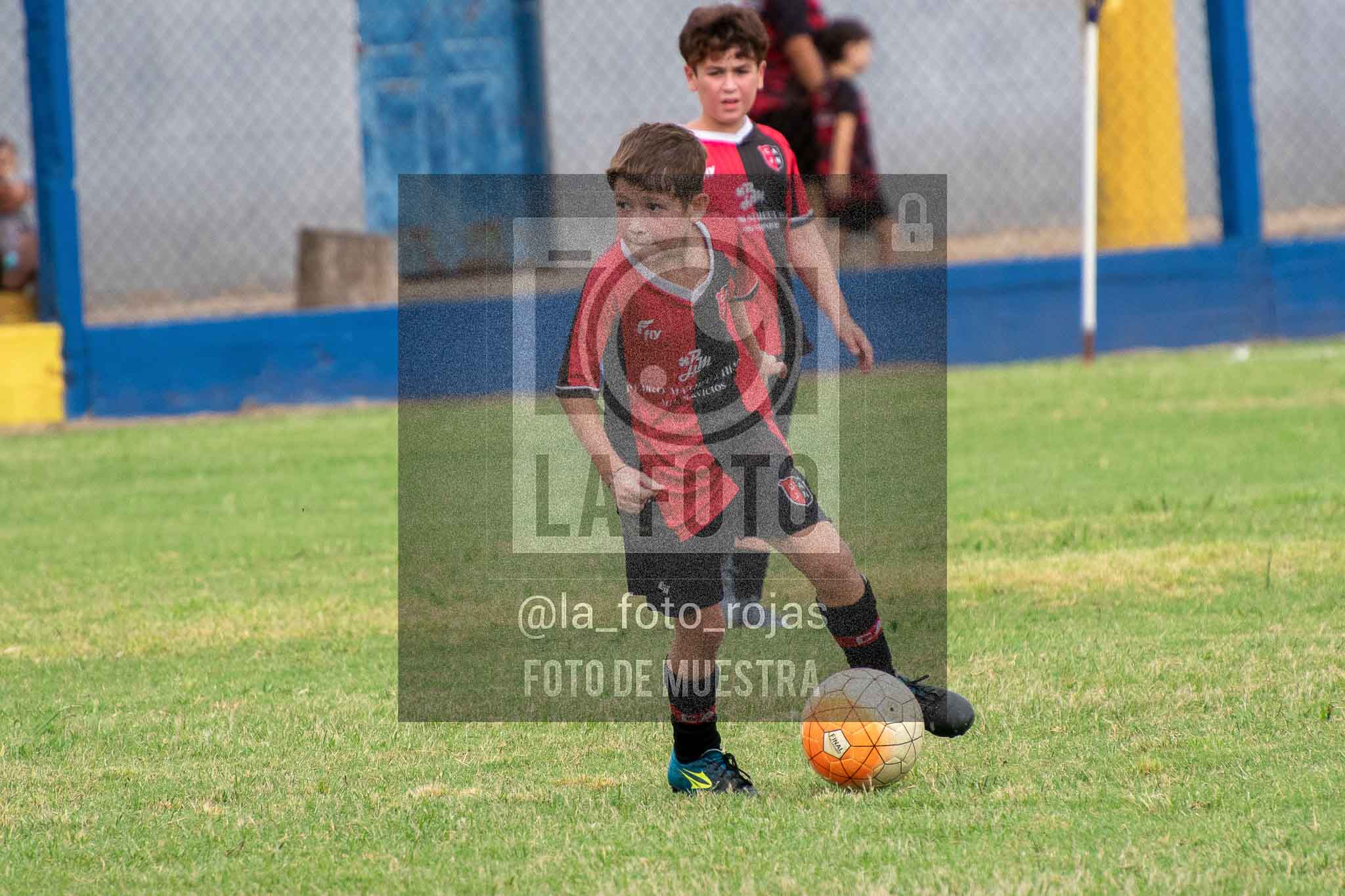 Fotografía 14-3-26-BOC-NEW-2016-52 de 2026-03-14 Boca Newbery 2016