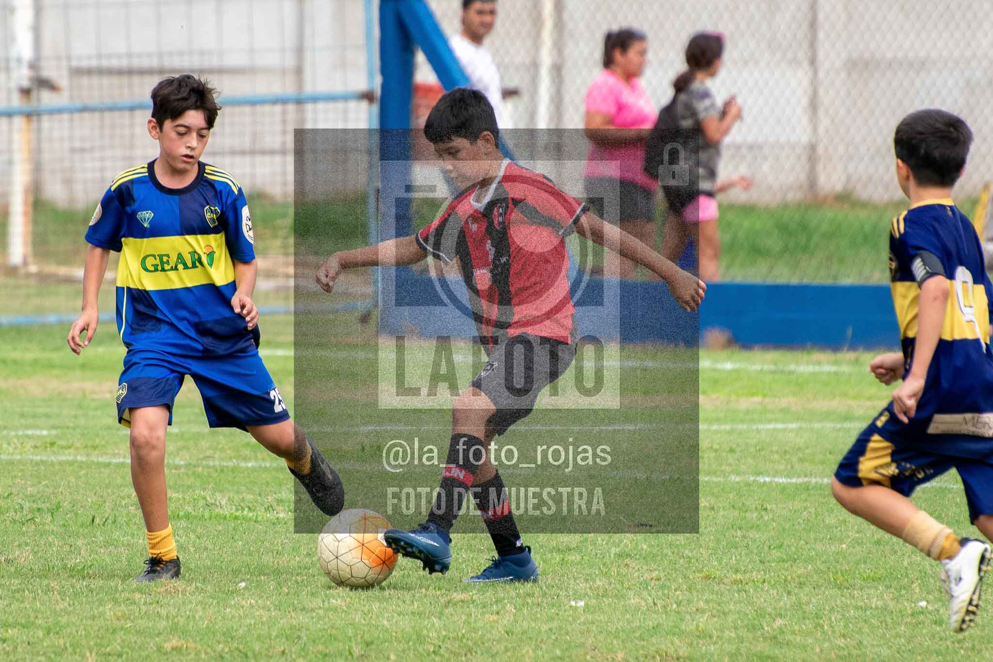 Fotografía 14-3-26-BOC-NEW-2016-54 de 2026-03-14 Boca Newbery 2016