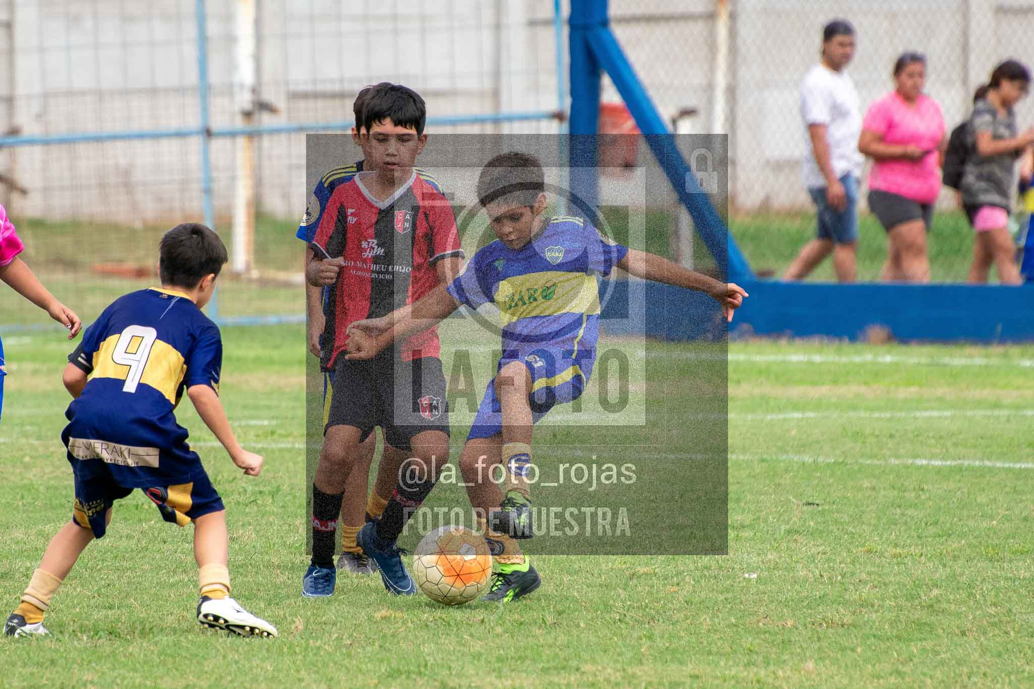 Fotografía 14-3-26-BOC-NEW-2016-55 de 2026-03-14 Boca Newbery 2016