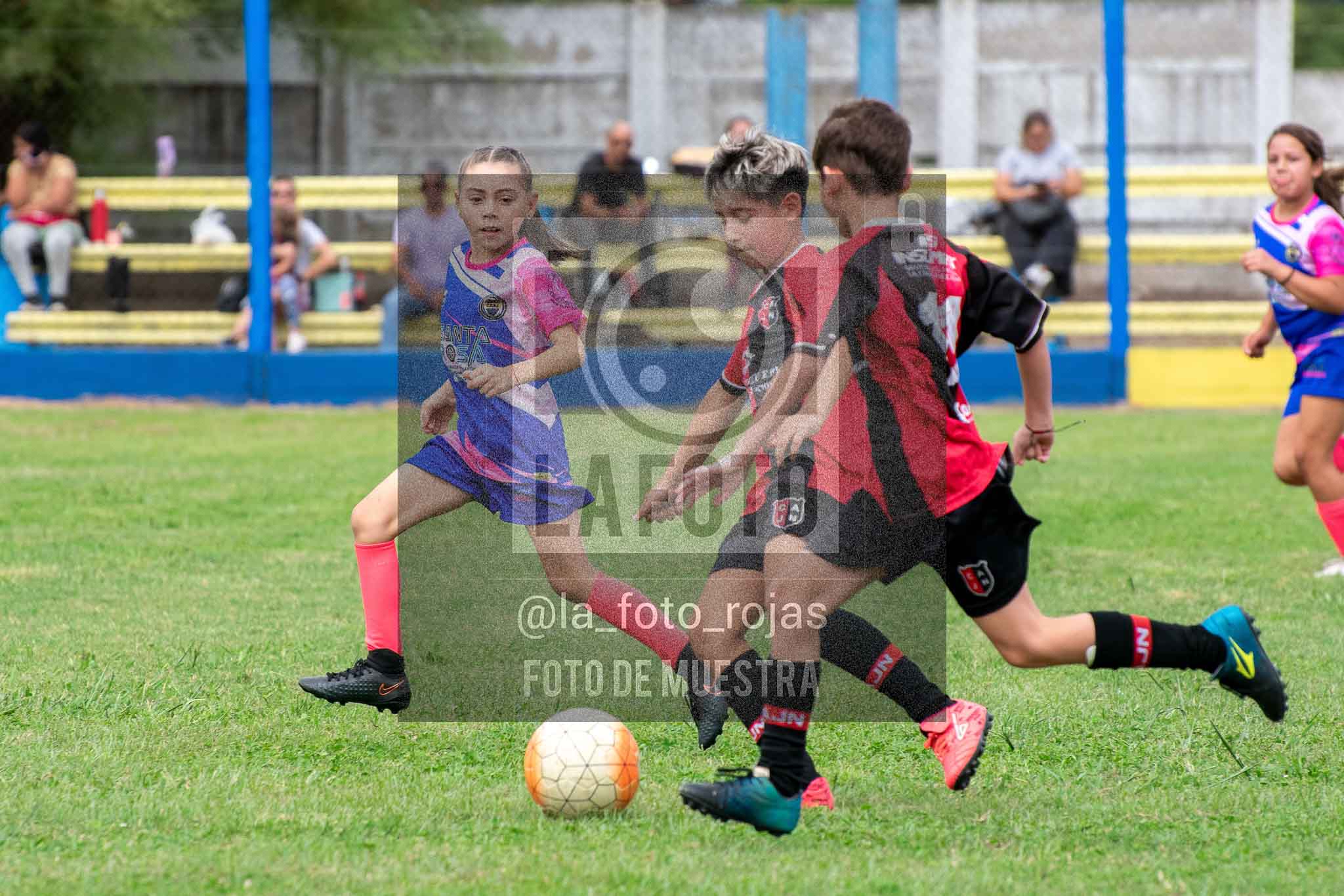 Fotografía 14-3-26-BOC-NEW-2016-56 de 2026-03-14 Boca Newbery 2016