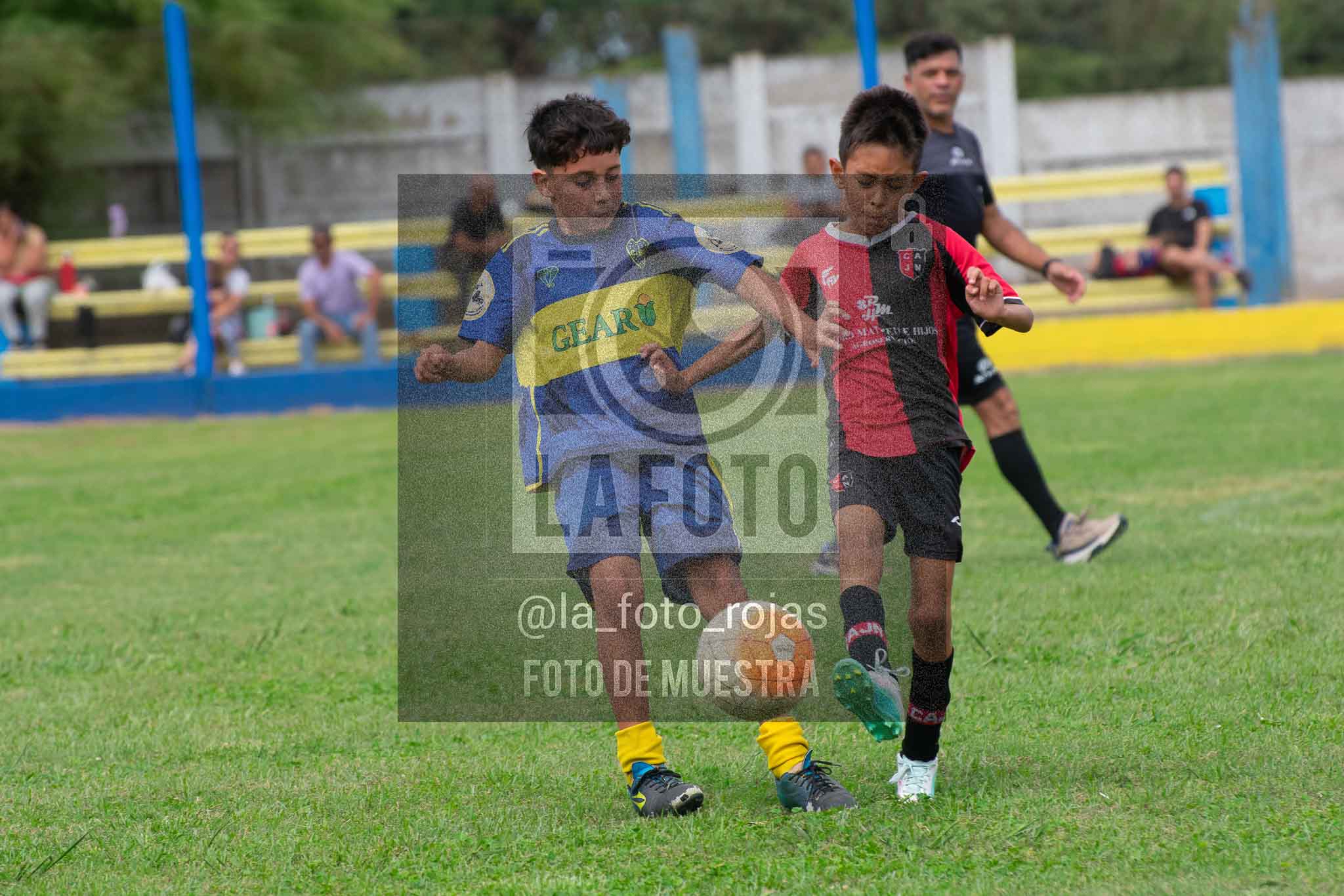 Fotografía 14-3-26-BOC-NEW-2016-58 de 2026-03-14 Boca Newbery 2016