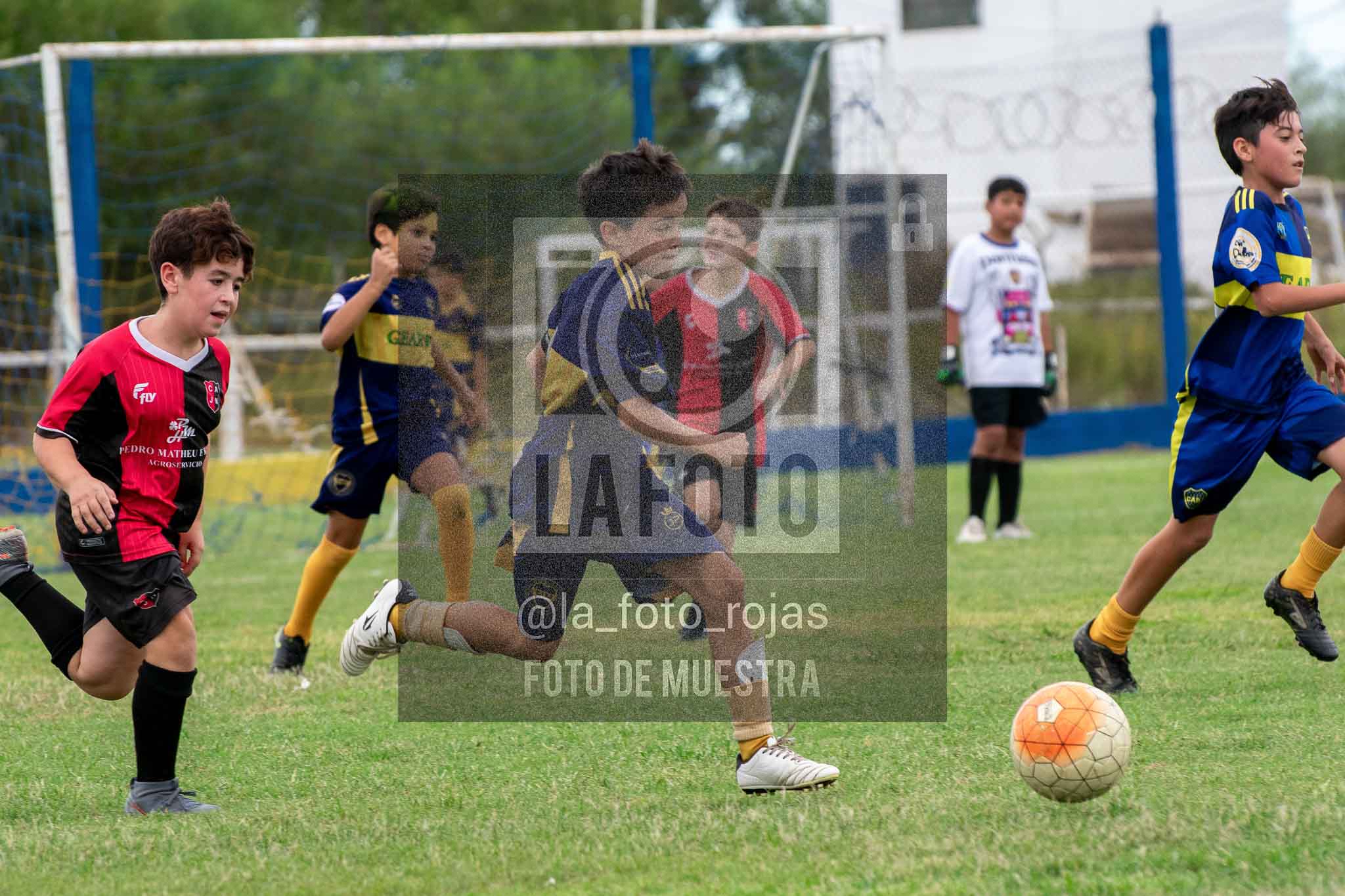 Fotografía 14-3-26-BOC-NEW-2016-6 de 2026-03-14 Boca Newbery 2016