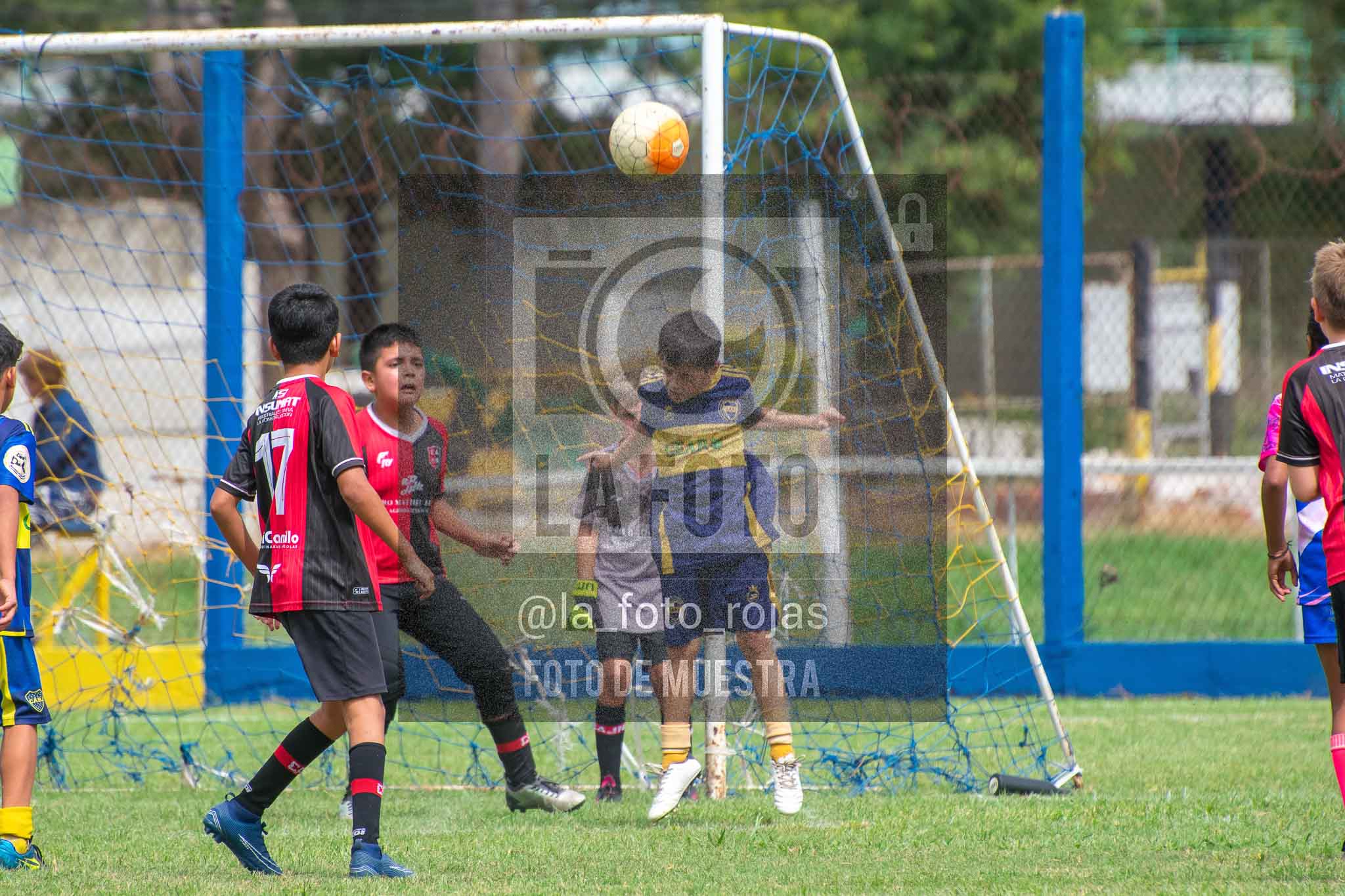 Fotografía 14-3-26-BOC-NEW-2016-60 de 2026-03-14 Boca Newbery 2016