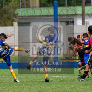 Fotografía 14-3-26-BOC-NEW-2016-62 de 2026-03-14 Boca Newbery 2016
