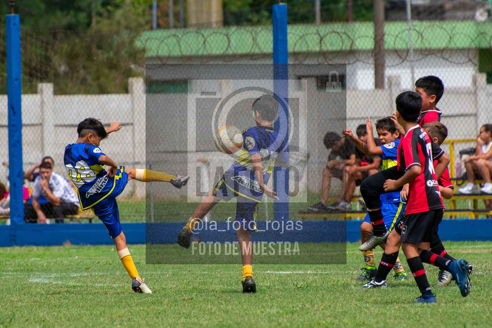 Fotografía 14-3-26-BOC-NEW-2016-62 de 2026-03-14 Boca Newbery 2016