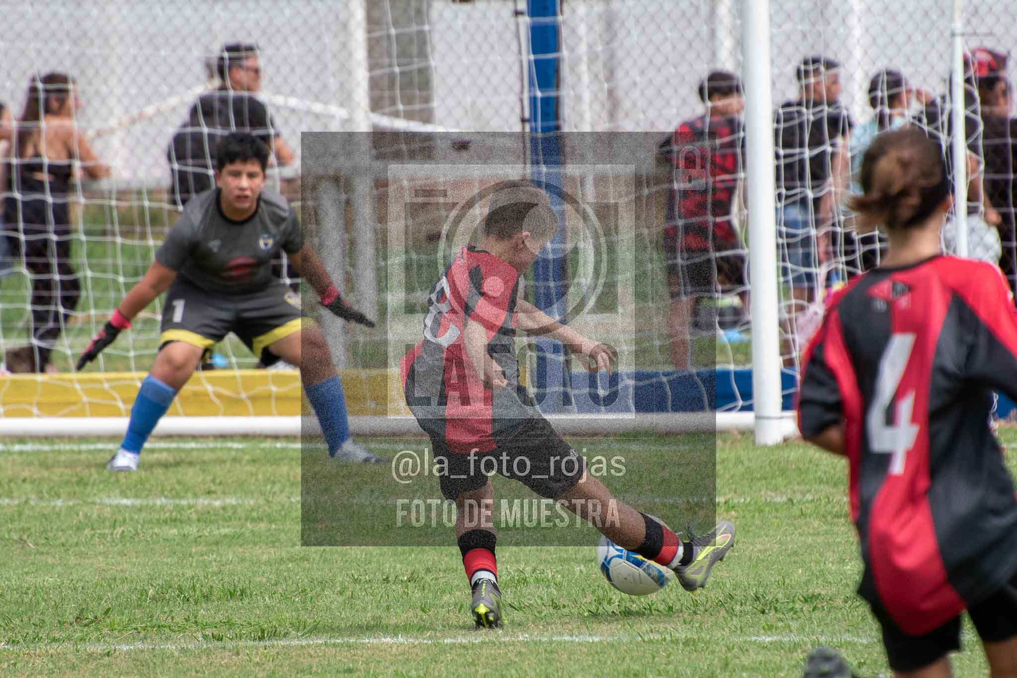 Fotografía 14-3-26-BOC-NEW-SUB13-24 de 2026-03-14 Boca Newbery Sub13