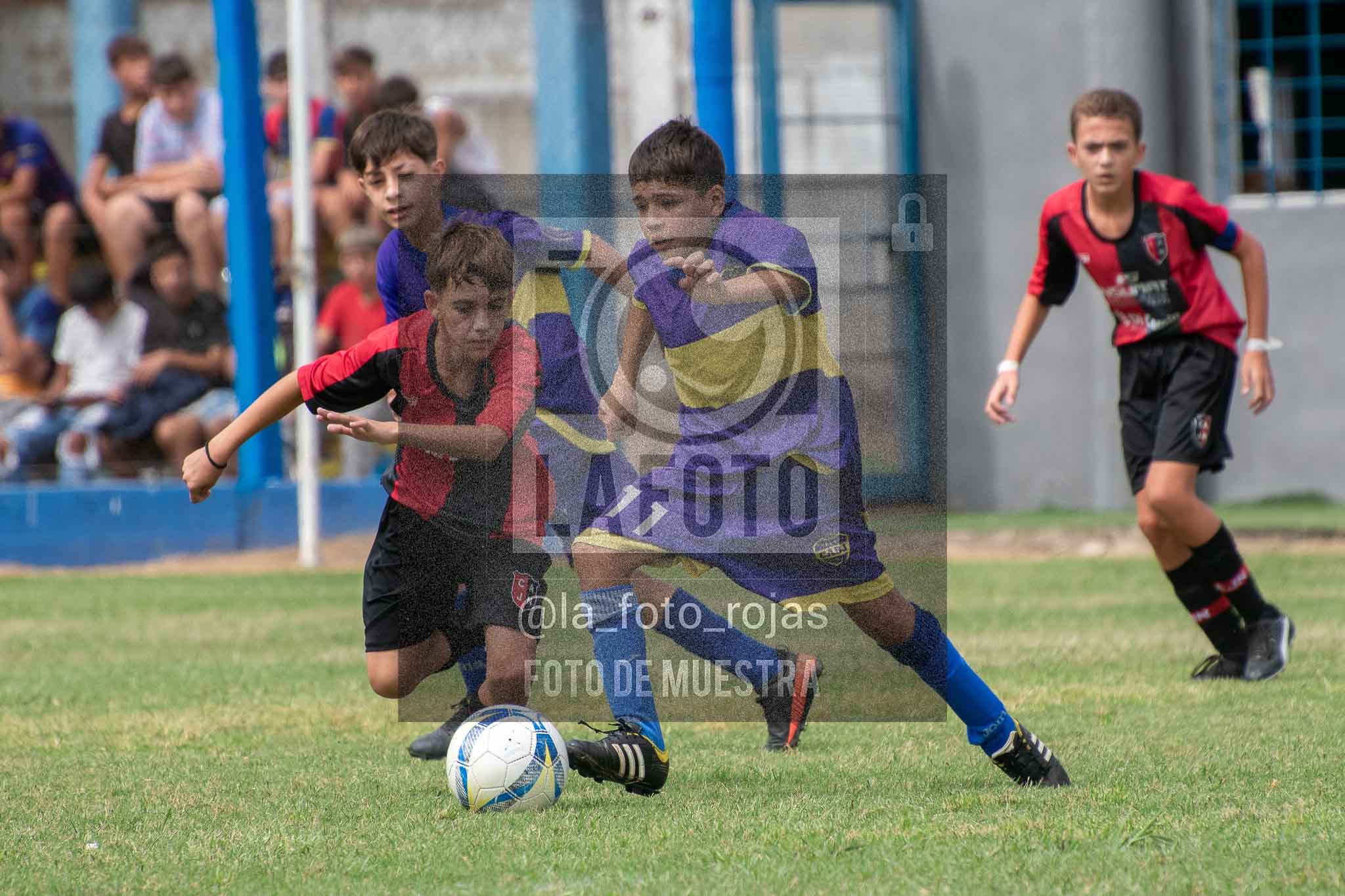 Fotografía 14-3-26-BOC-NEW-SUB13-30 de 2026-03-14 Boca Newbery Sub13