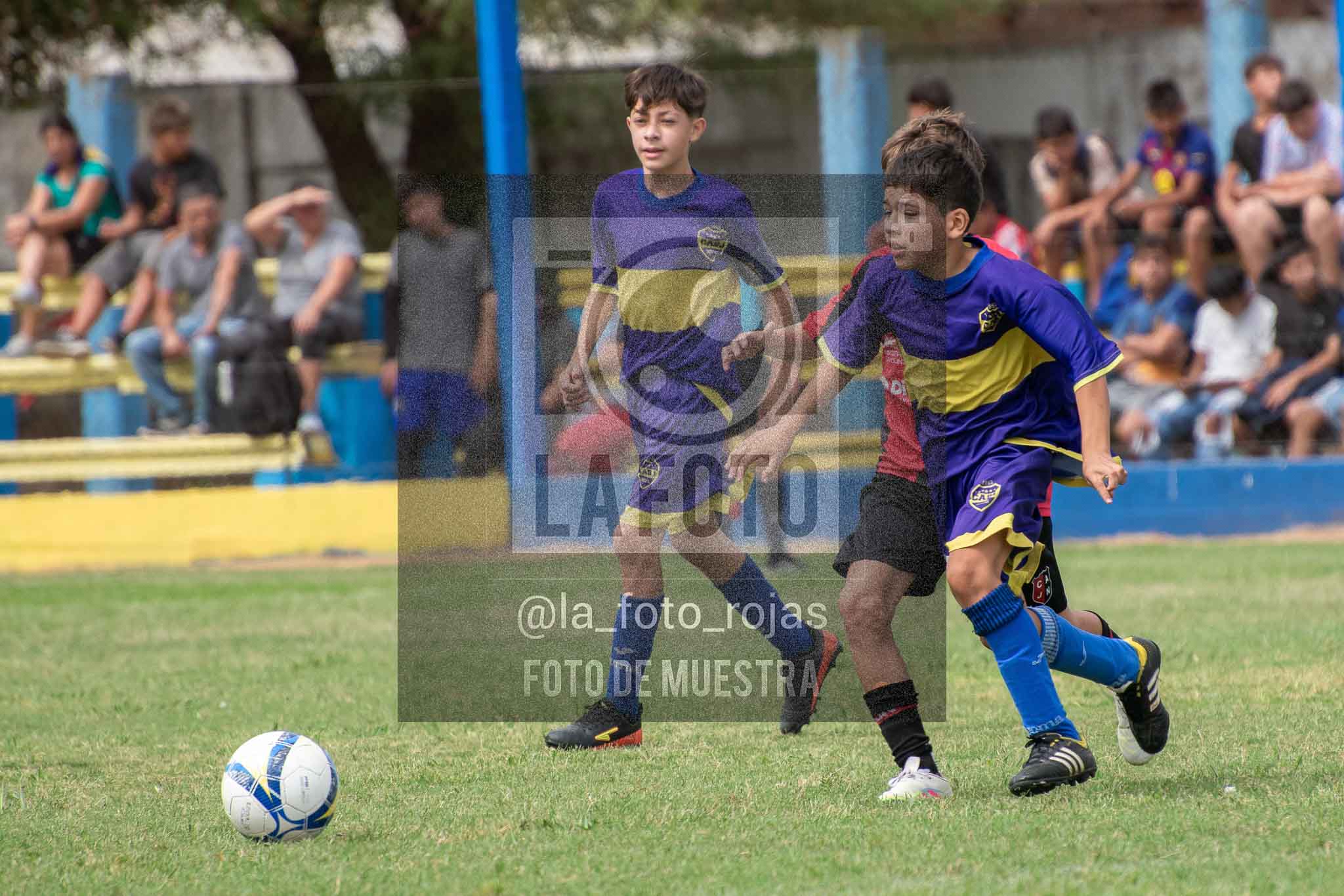 Fotografía 14-3-26-BOC-NEW-SUB13-31 de 2026-03-14 Boca Newbery Sub13