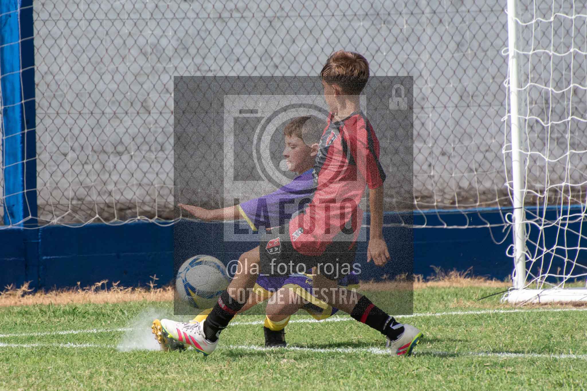 Fotografía 14-3-26-BOC-NEW-SUB13-40 de 2026-03-14 Boca Newbery Sub13