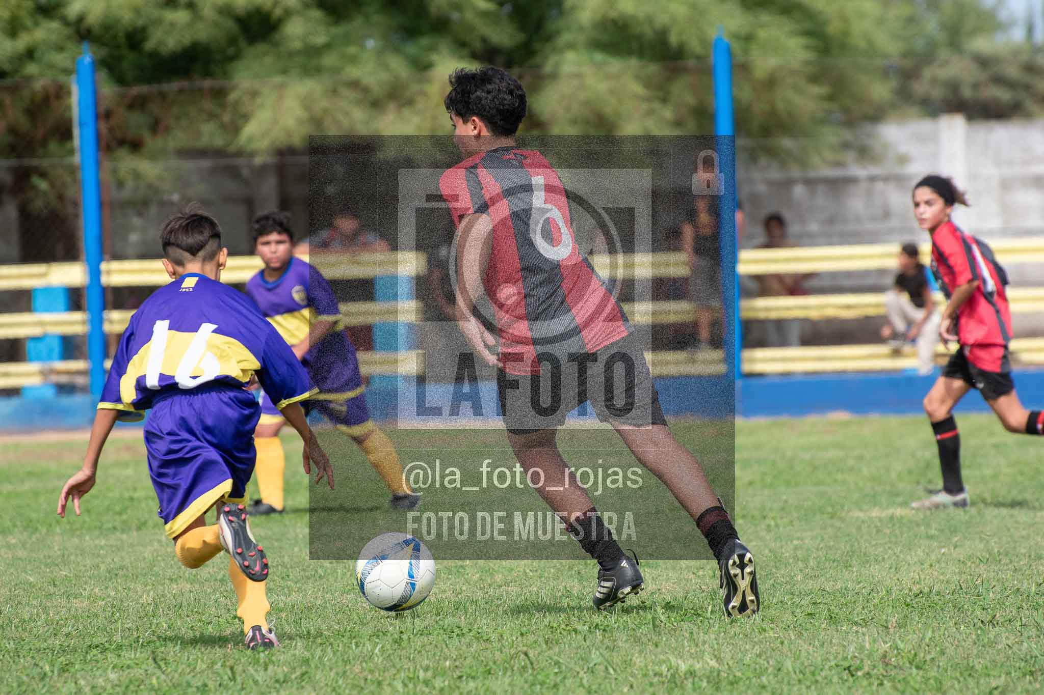 Fotografía 14-3-26-BOC-NEW-SUB13-45 de 2026-03-14 Boca Newbery Sub13
