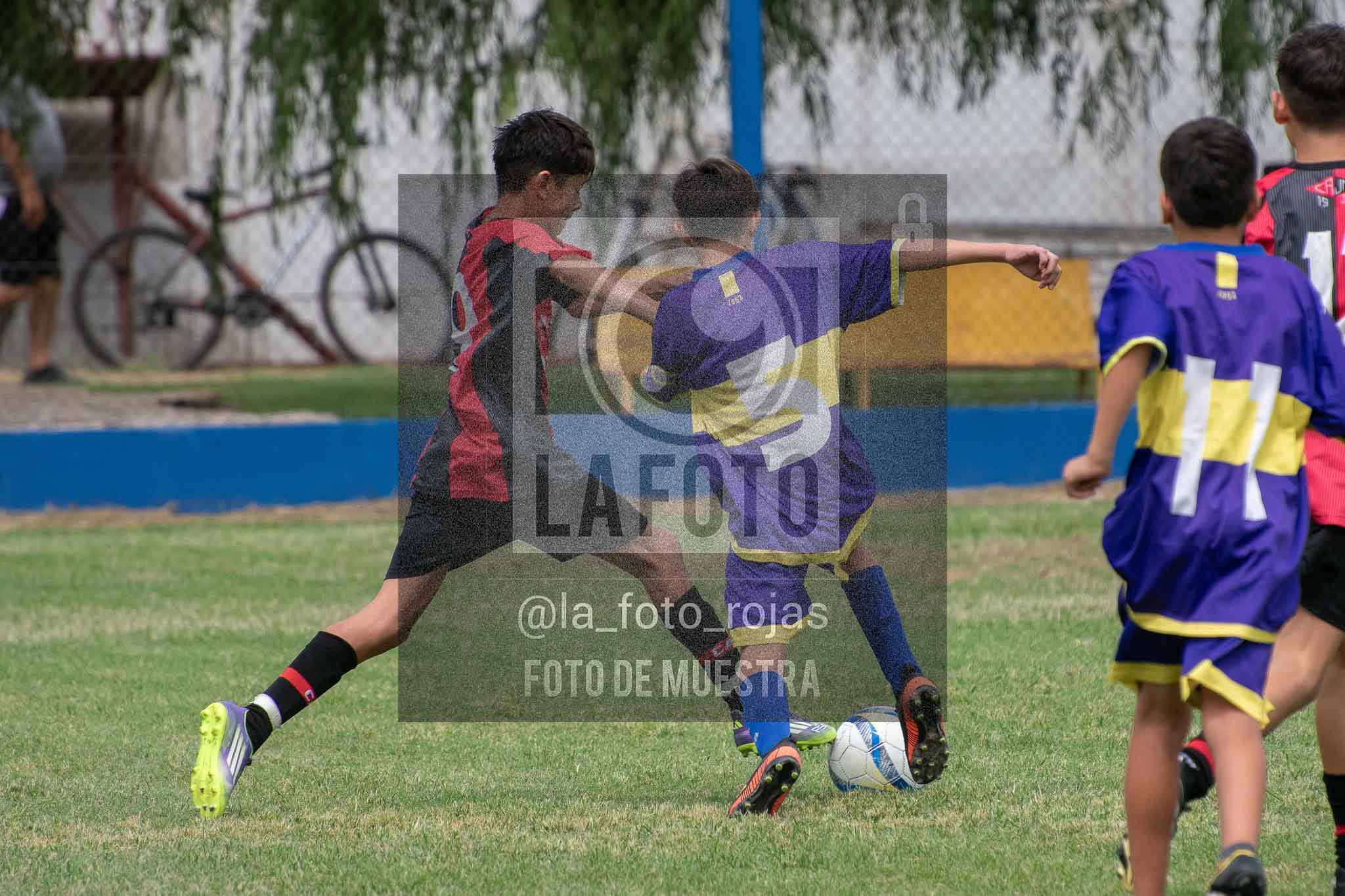 Fotografía 14-3-26-BOC-NEW-SUB13-6 de 2026-03-14 Boca Newbery Sub13