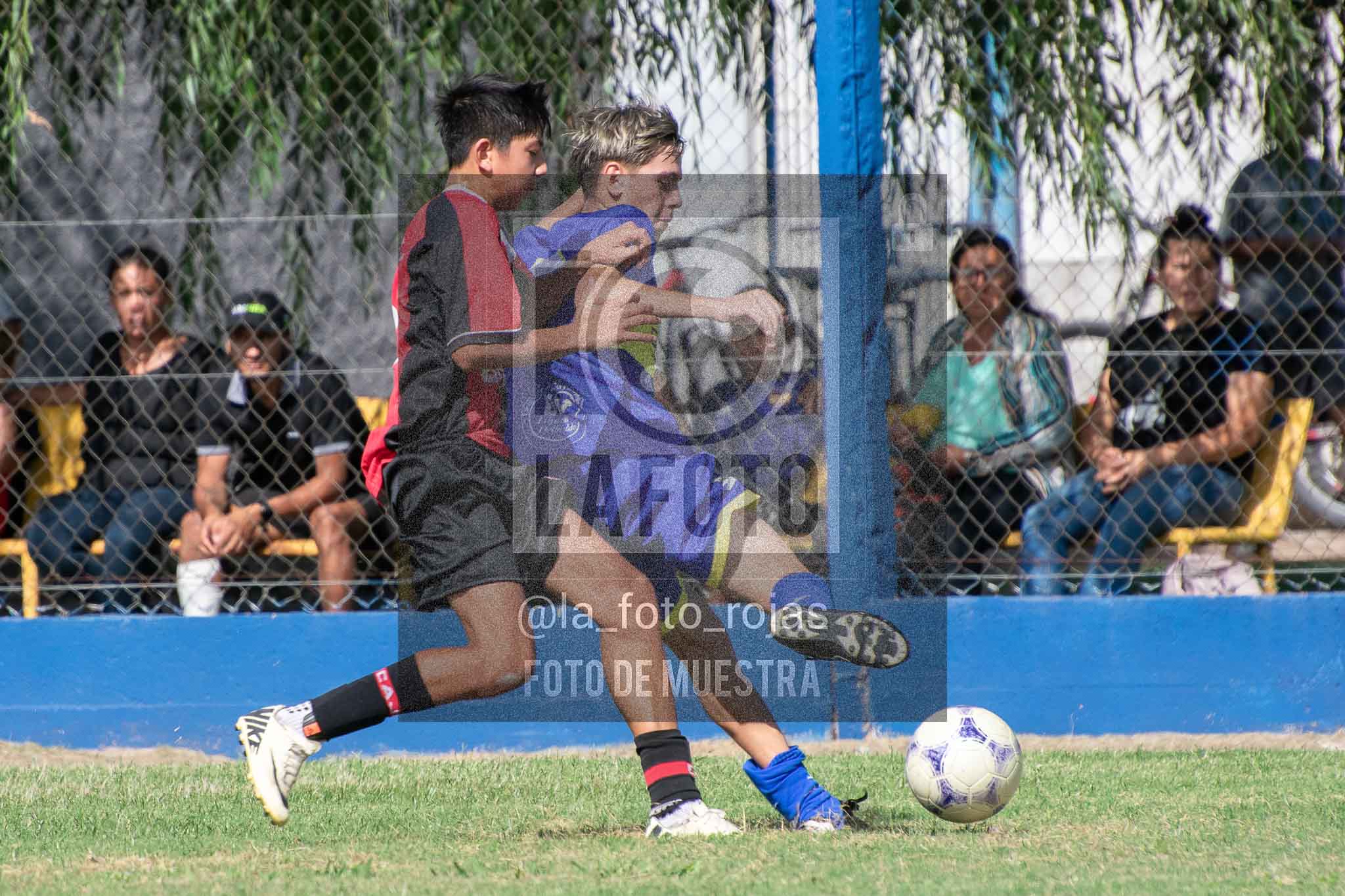 Fotografía 14-3-26-BOC-NEW-SUB15-26 de 2026-03-14 Boca Newbery Sub15