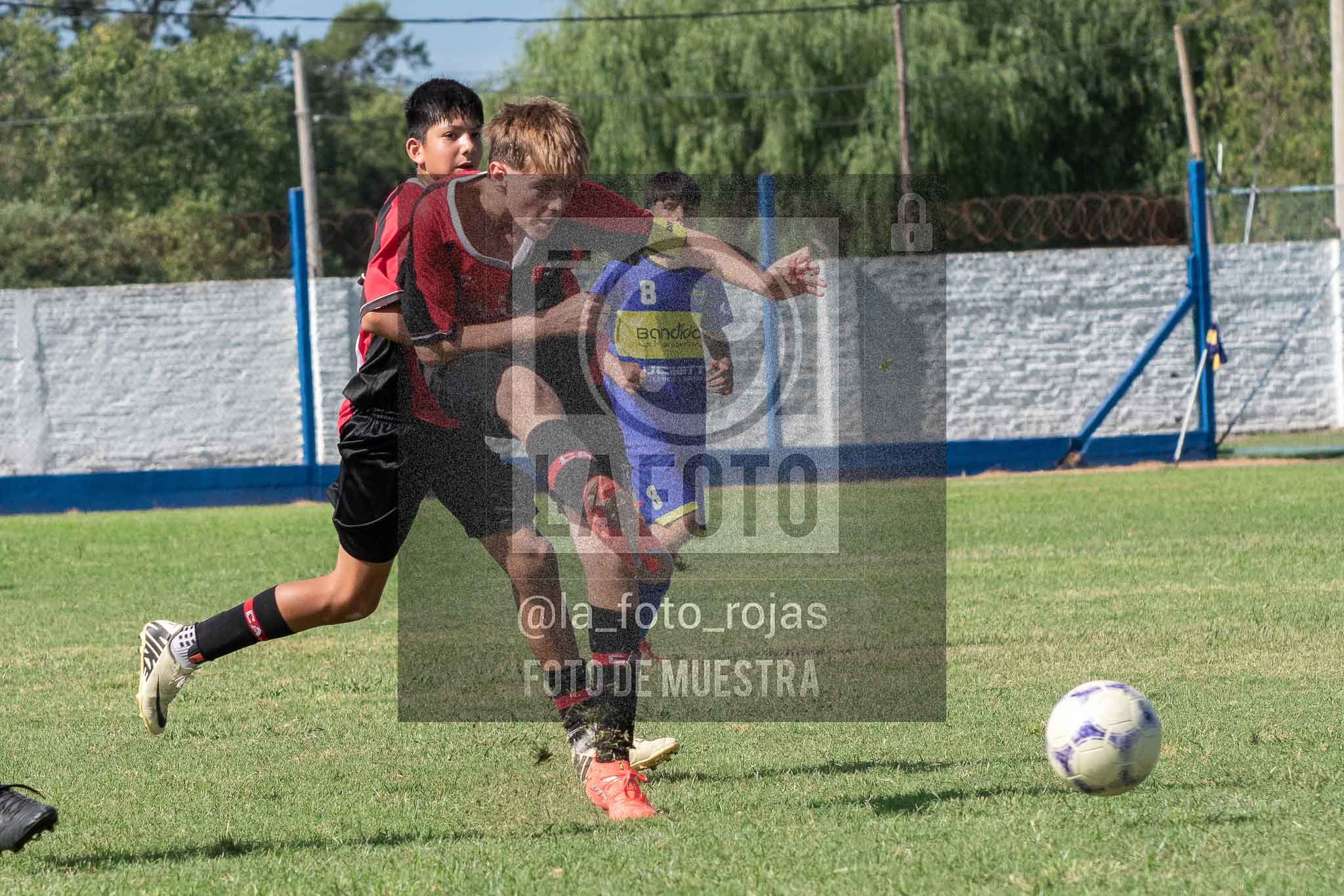 Fotografía 14-3-26-BOC-NEW-SUB15-33 de 2026-03-14 Boca Newbery Sub15