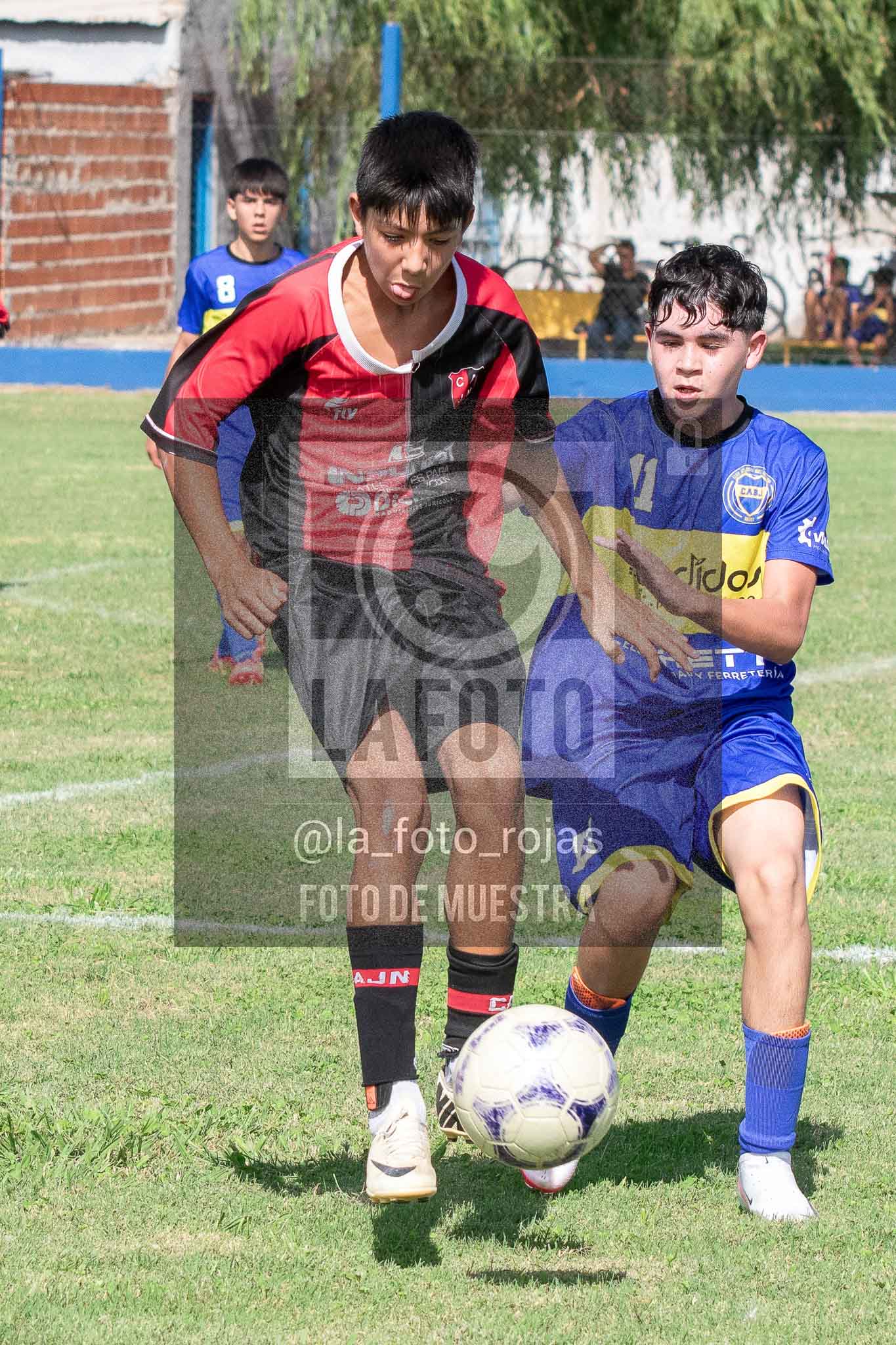 Fotografía 14-3-26-BOC-NEW-SUB15-37 de 2026-03-14 Boca Newbery Sub15