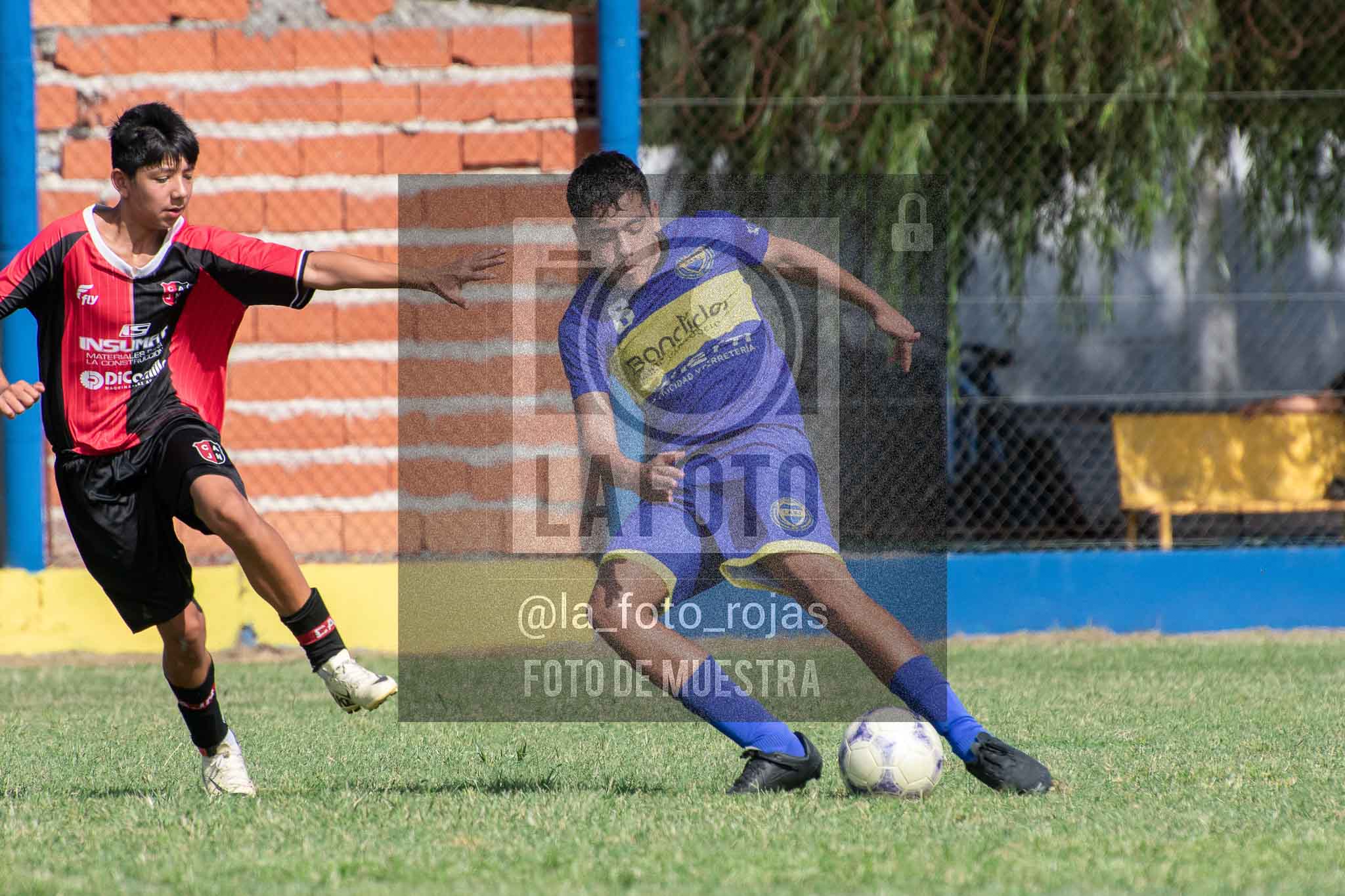 Fotografía 14-3-26-BOC-NEW-SUB15-40 de 2026-03-14 Boca Newbery Sub15