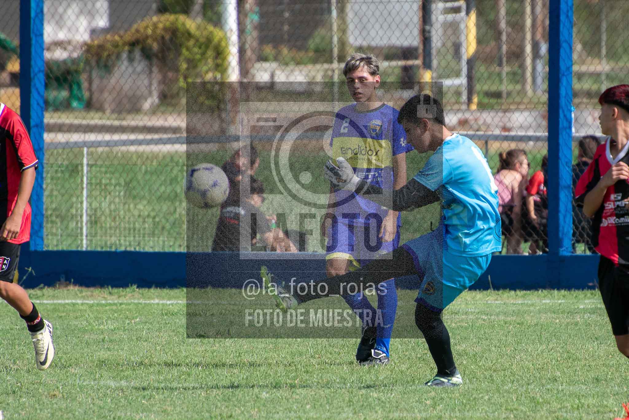 Fotografía 14-3-26-BOC-NEW-SUB15-44 de 2026-03-14 Boca Newbery Sub15