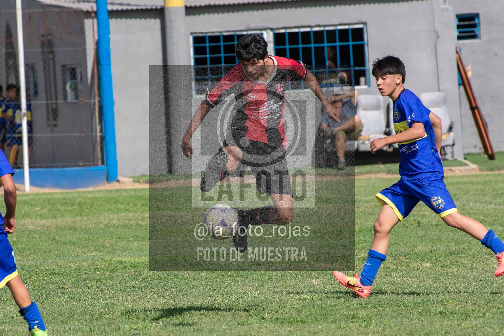Fotografía 14-3-26-BOC-NEW-SUB15-46 de 2026-03-14 Boca Newbery Sub15