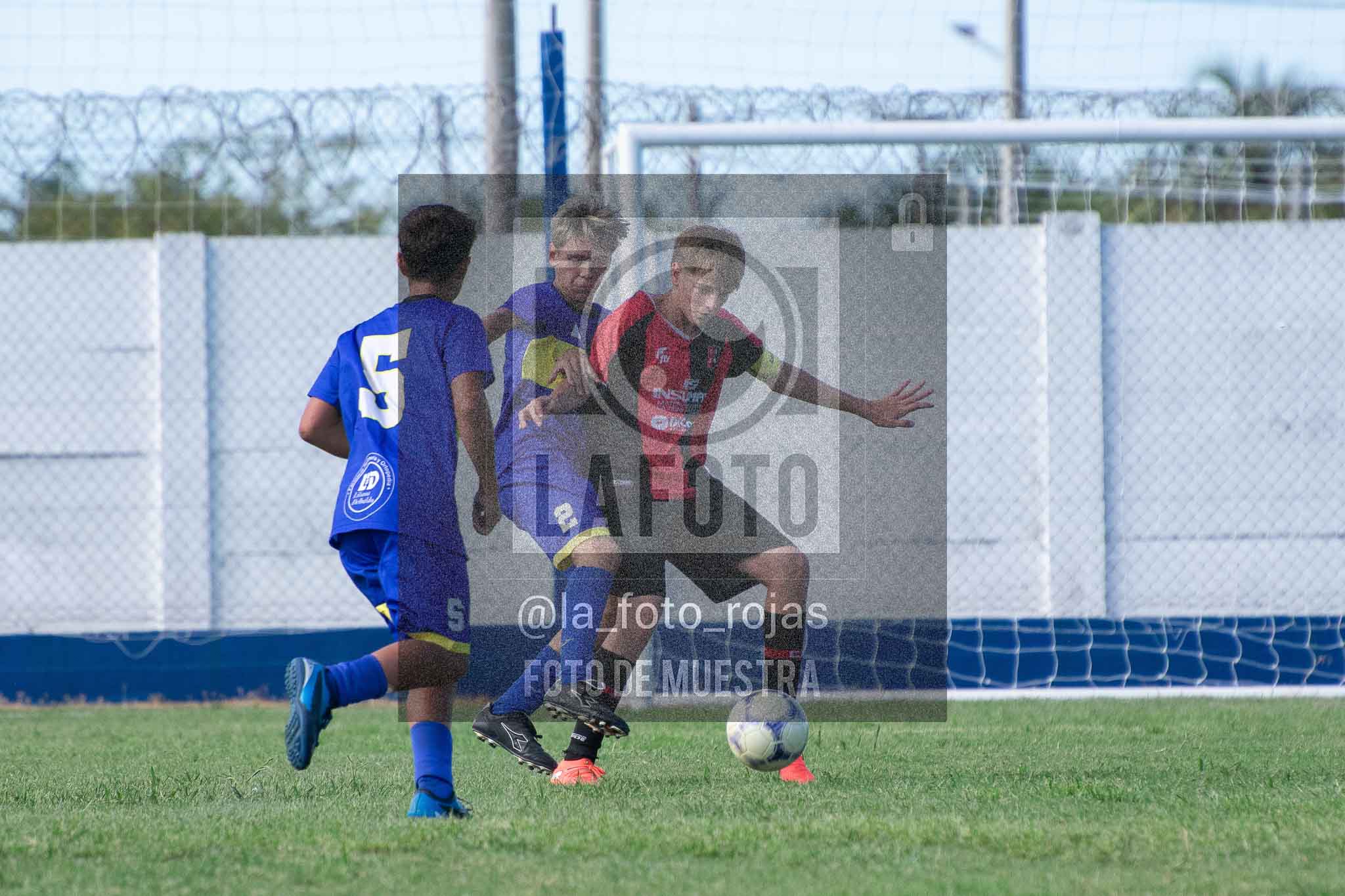 Fotografía 14-3-26-BOC-NEW-SUB15-73 de 2026-03-14 Boca Newbery Sub15