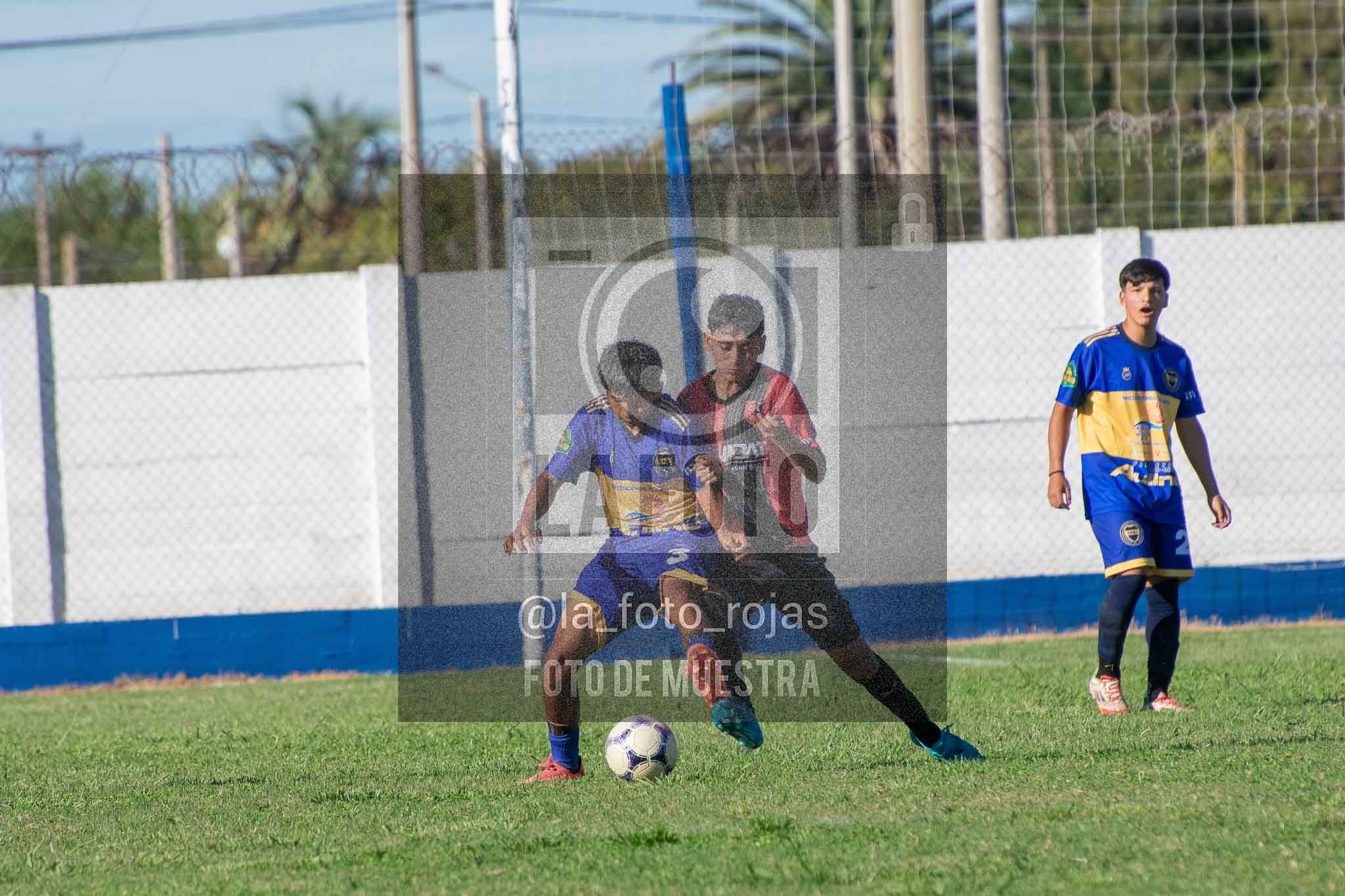 Fotografía 14-3-26-BOC-NEW-SUB17-26 de 2026-03-14 Boca Newbery Sub17