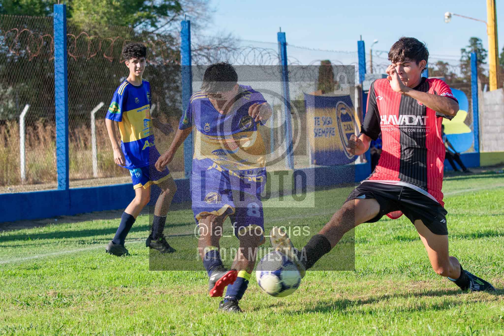 Fotografía 14-3-26-BOC-NEW-SUB17-30 de 2026-03-14 Boca Newbery Sub17
