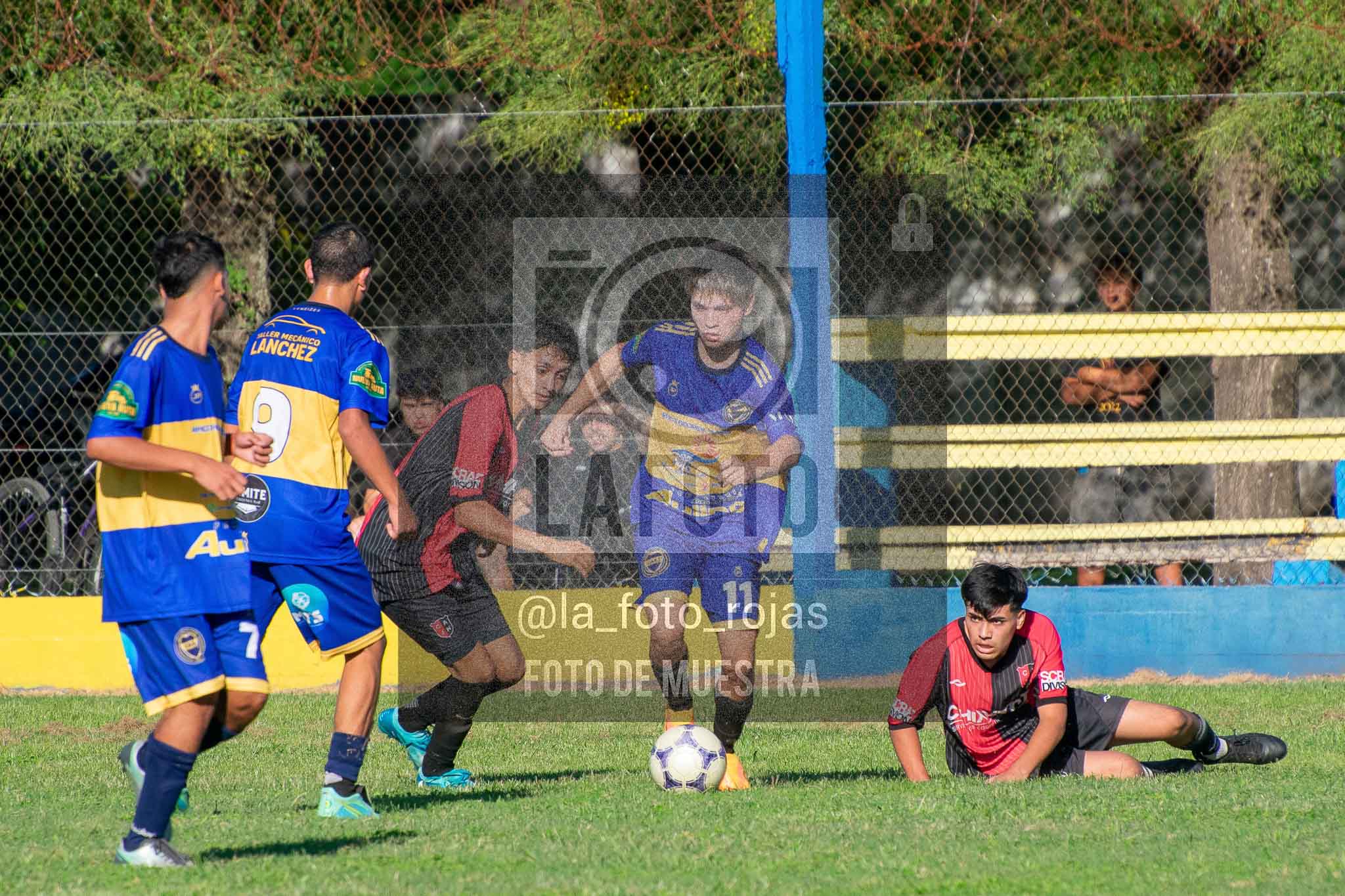 Fotografía 14-3-26-BOC-NEW-SUB17-37 de 2026-03-14 Boca Newbery Sub17