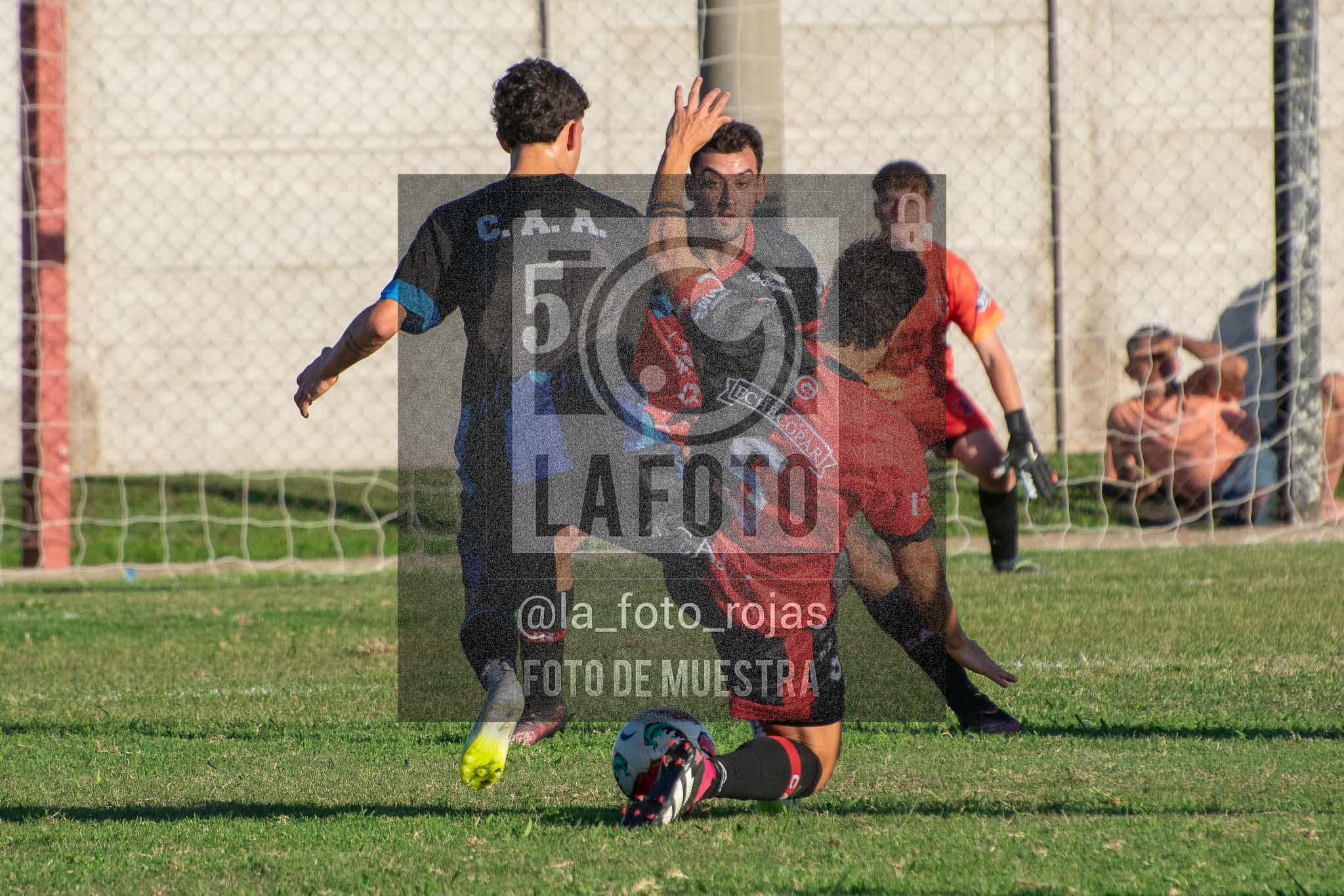 Fotografía 12-04-2026-NEW-ARG-PERG-PRIMERA-51-1 de 2026-04-12 Newbery Argentino Perg Primera