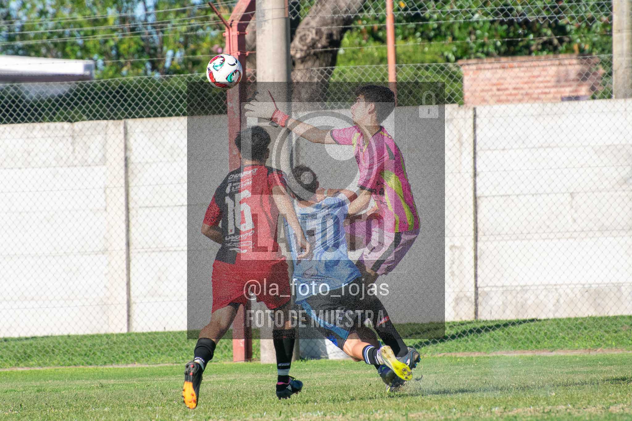Fotografía 13-04-2026-NEW-ARG-PERG-SUB23-123-1 de 2026-04-12 Newbery Argentino Perg Sub23