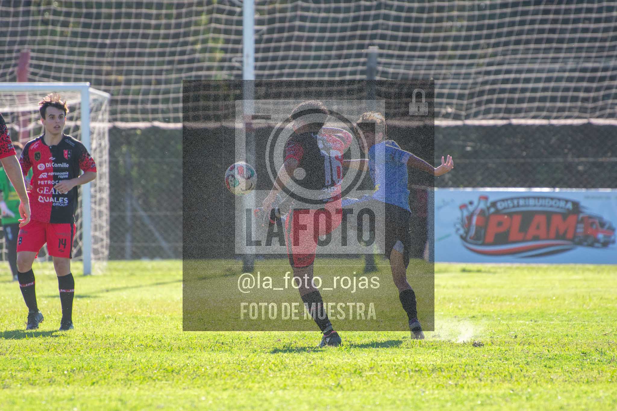 Fotografía 13-04-2026-NEW-ARG-PERG-SUB23-142-1 de 2026-04-12 Newbery Argentino Perg Sub23