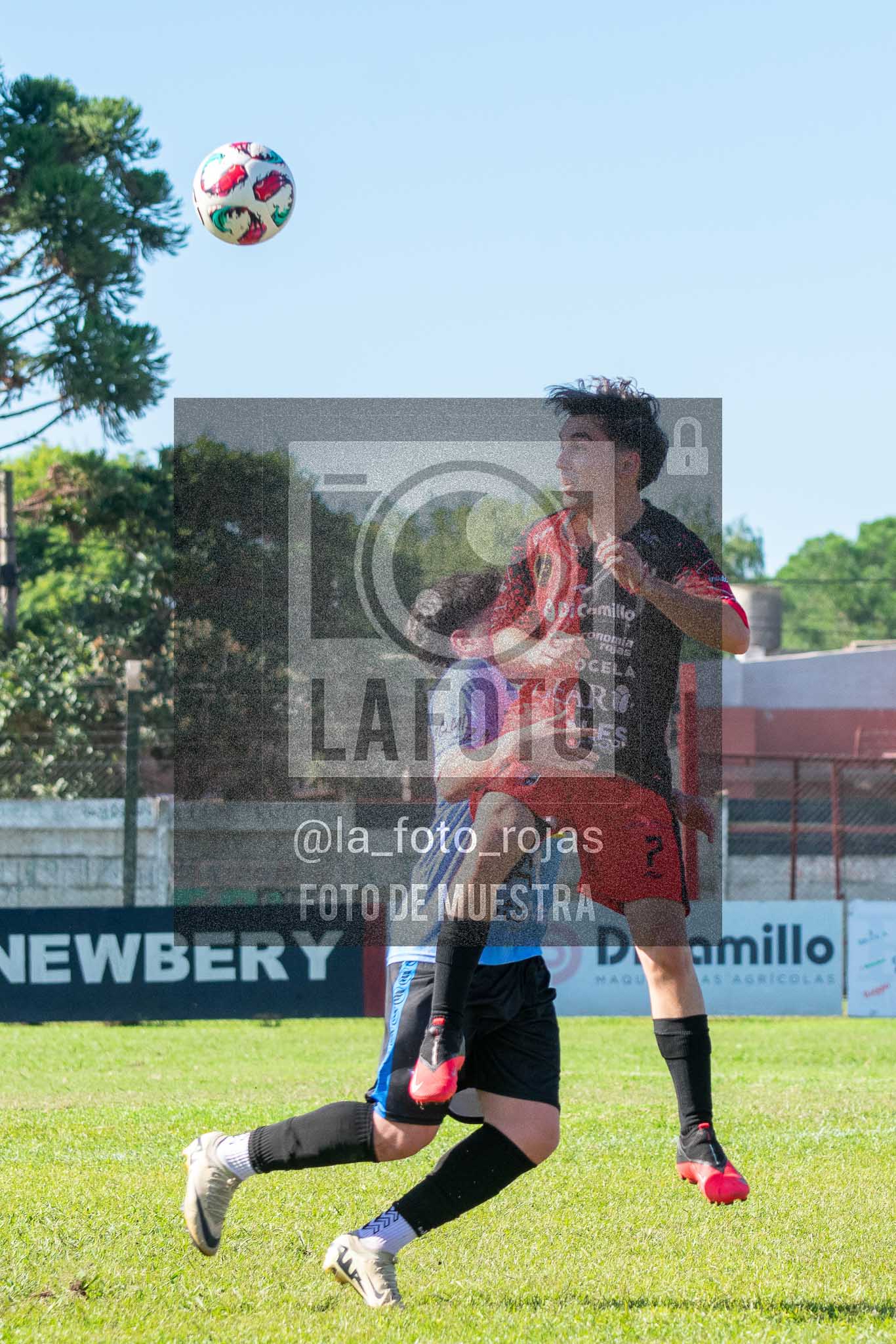 Fotografía 13-04-2026-NEW-ARG-PERG-SUB23-37-1 de 2026-04-12 Newbery Argentino Perg Sub23