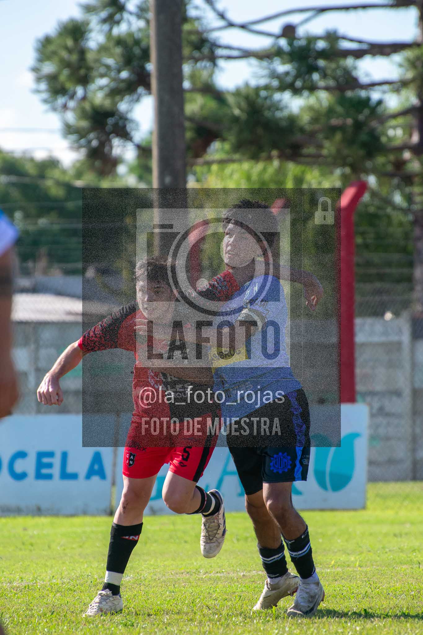 Fotografía 13-04-2026-NEW-ARG-PERG-SUB23-64-1 de 2026-04-12 Newbery Argentino Perg Sub23