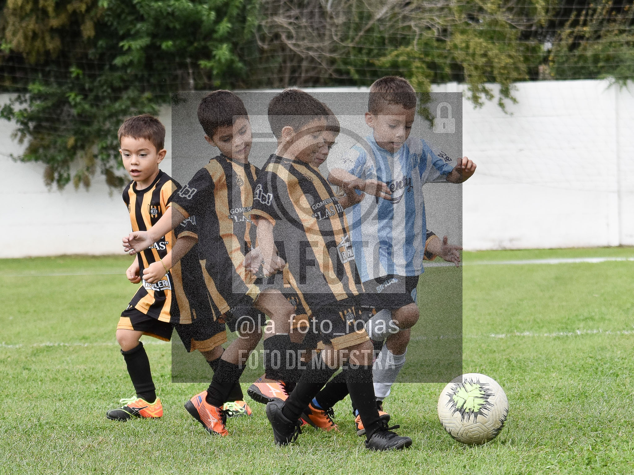 Fotografía 25-04-2026-HURACAN-ARGENTINO-PEQUES-ADRY-40 de 2026-04-25 huracan argentino peques
