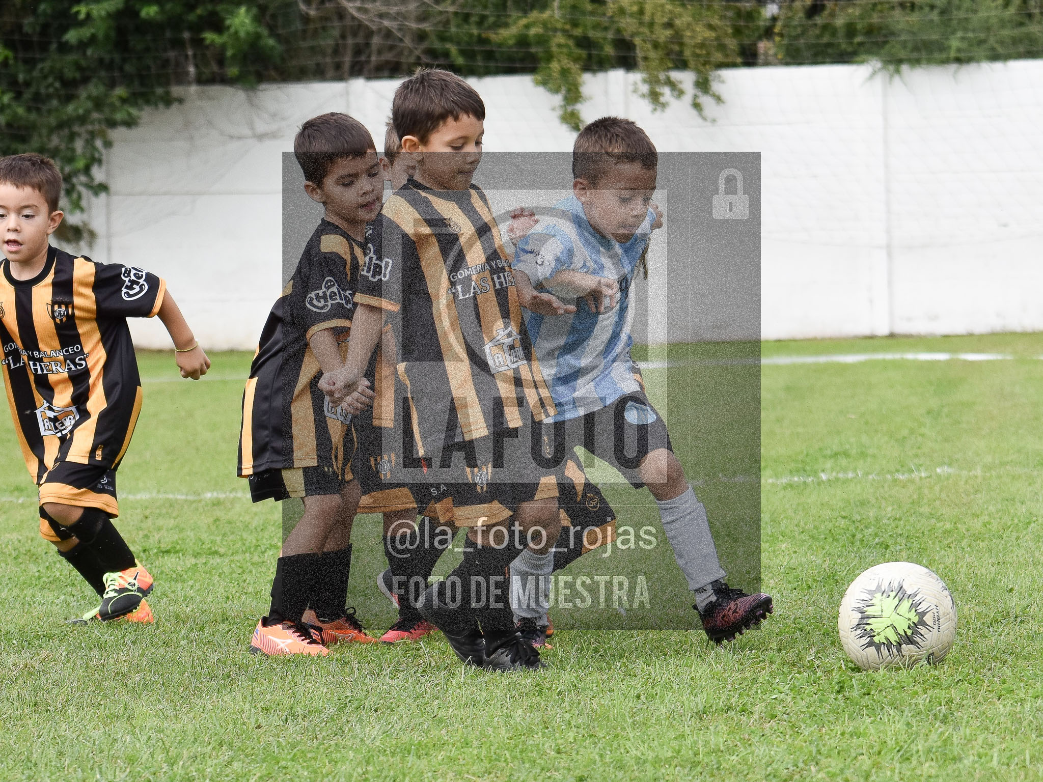 Fotografía 25-04-2026-HURACAN-ARGENTINO-PEQUES-ADRY-41 de 2026-04-25 huracan argentino peques