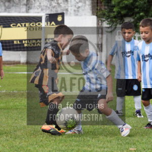 Fotografía 25-04-2026-HURACAN-ARGENTINO-PEQUES-ADRY-50-1 de 2026-04-25 huracan argentino peques