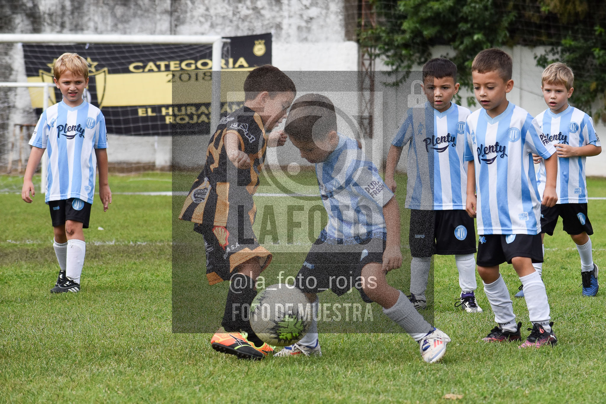 Fotografía 25-04-2026-HURACAN-ARGENTINO-PEQUES-ADRY-50-1 de 2026-04-25 huracan argentino peques