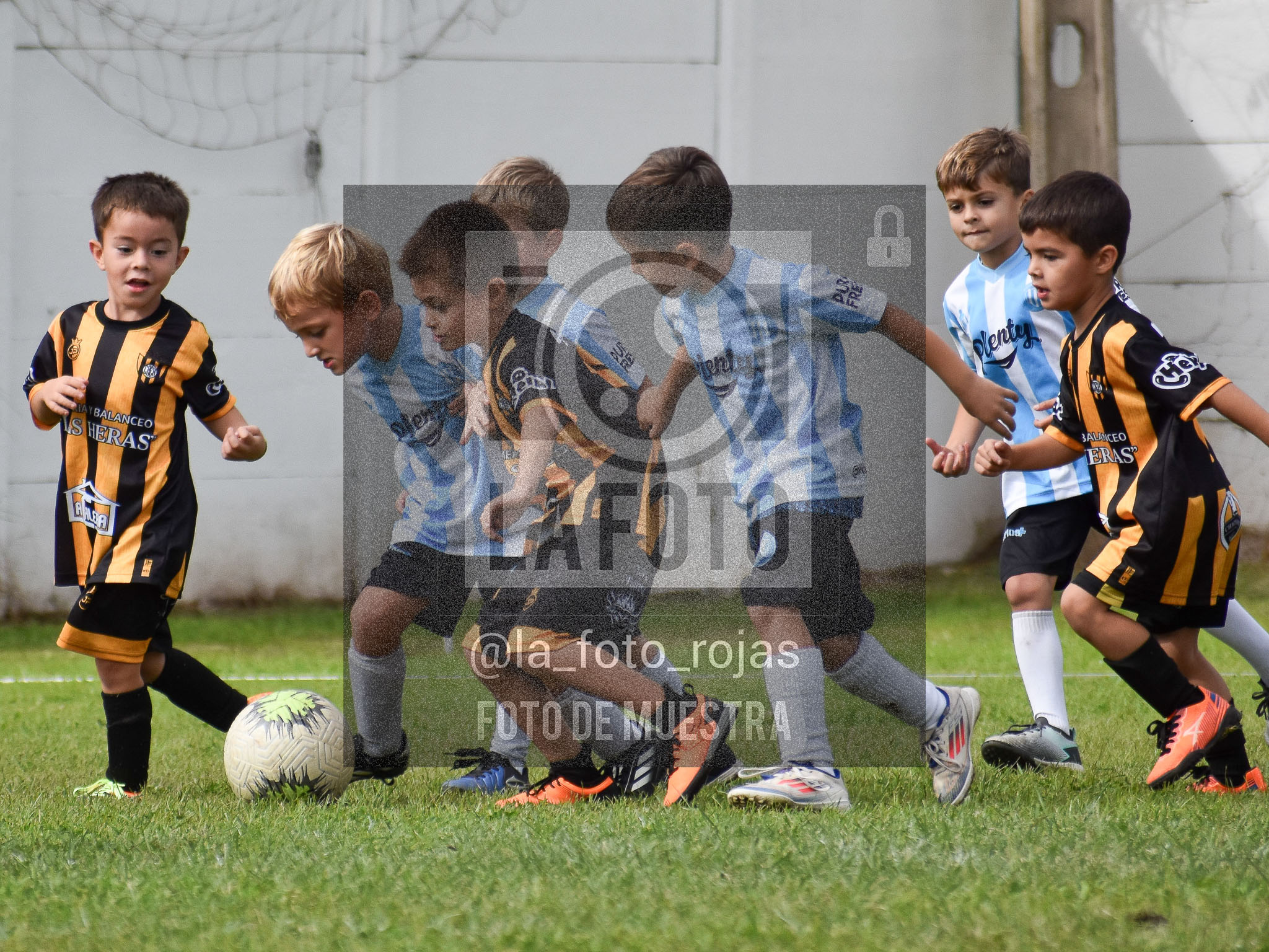 Fotografía 25-04-2026-HURACAN-ARGENTINO-PEQUES-ADRY-78 de 2026-04-25 huracan argentino peques