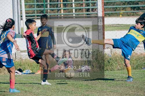 Fotografía 02-05-2026-BOCA-NEWBERY-2016-21 de 2026-05-02 boca newbery 2016