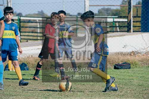 Fotografía 02-05-2026-BOCA-NEWBERY-2016-26 de 2026-05-02 boca newbery 2016
