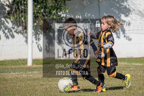 Fotografía AHN-4 de (032) 2026-05-23 Huracan Newbery Peques