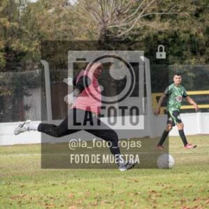 Fotografía ANI-23 de (033) 2026-05-24 Newbery Indart