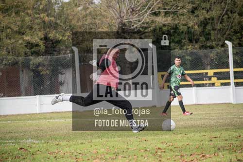 Fotografía ANI-23 de (033) 2026-05-24 Newbery Indart