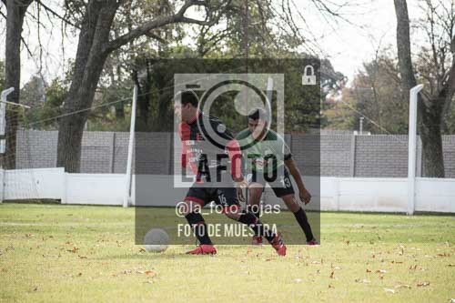 Fotografía ANI-35 de (033) 2026-05-24 Newbery Indart
