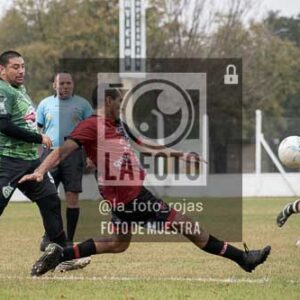 Fotografía ANI-5 de (033) 2026-05-24 Newbery Indart