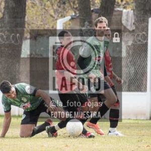 Fotografía ANI-50 de (033) 2026-05-24 Newbery Indart