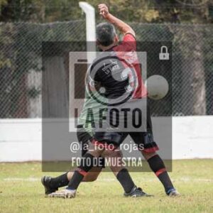 Fotografía ANI-8 de (033) 2026-05-24 Newbery Indart