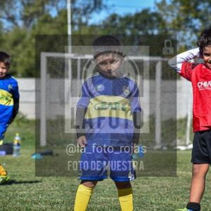 Fotografía DSC_0512 de 2026-05-02 boca newbery mix peques